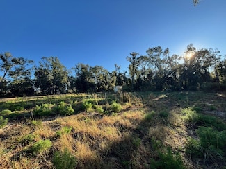 515 NE Willow Bend Terrace, Lee, FL 32059