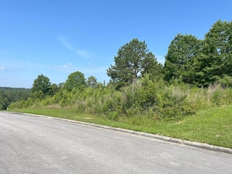 0 Stonegate Place Unit 130205, Cohutta, GA 30710