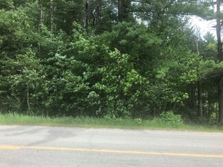 0 N Emerson Rd Unit .45 ACRE, Herron, MI 49744