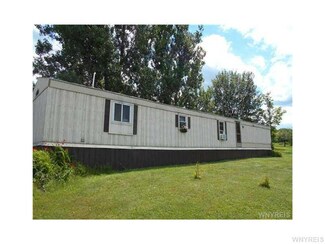 9915 Route 242, Little Valley, NY 14755