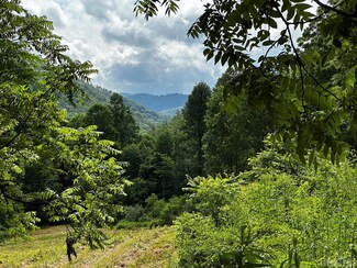L 15 Trout Creek Rd, Tuckasegee, NC 28783