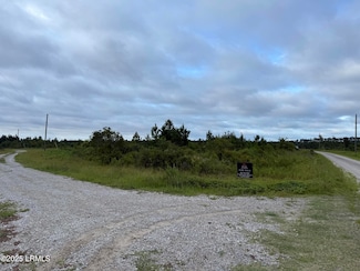 0 Grady Mixon Rd, Early Branch, SC 29916