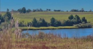 000 Culpepper Rd, Coffee Springs, AL 36318