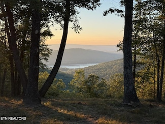Lot 1070 Birds Eye Way, Guild, TN 37340