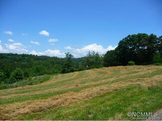 10 Horizon Way, Alexander, NC 28701