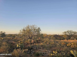14907 S Carlsburg Ave Unit 203, Tucson, AZ 85736