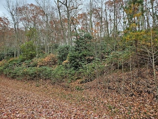Lot 17 Fox Hollow Dr, Bastian, VA 24630