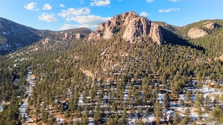 35441 Upper Aspen Ln, Pine, CO 80470