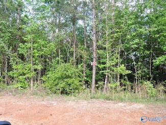 Lot 53 Oak Leaf Ct, Jasper, AL 35504