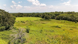 0 County Road 4606, Troup, TX 75789