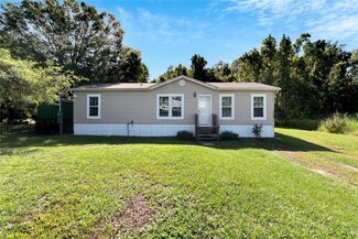3990 Shady Hammock Dr, Mulberry, FL 33860