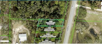 7029 Treiman Blvd, Webster, FL 33597