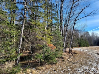 0 S Fork Rd, Flambeau, WI 54555