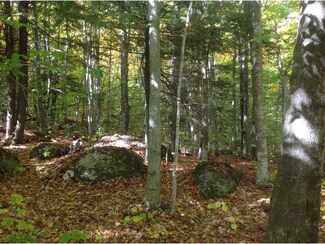 0 Carter Hill Rd Unit 4466205, Bradford, NH 03221
