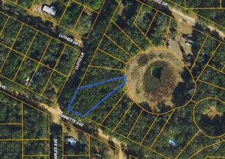 0 Annette Ave Unit 22084881, Interlachen, FL 32148