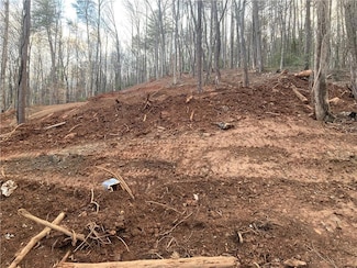 0 Beaver Ln Unit 7524246, Dahlonega, GA 30533