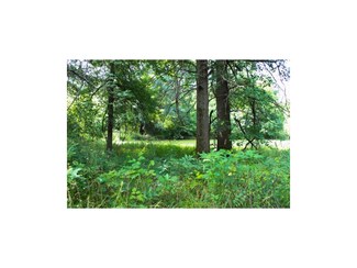 TBD NE 750 Rd, Knob Noster, MO 65336