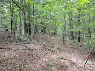 0 John Ford Rd Unit 73403157, Ashfield, MA 01330