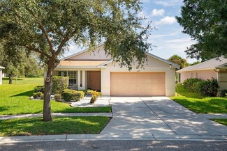 11317 Coconut Island Dr, Riverview, FL 33569