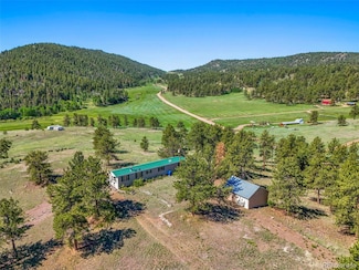 332 Valley Cir, Florissant, CO 80816