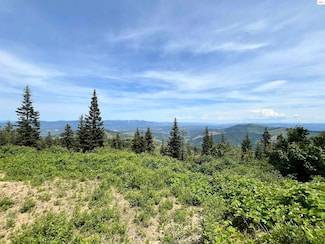 nna Cherry Creek Rd, St. Maries, ID 83861