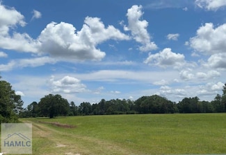35+ Acre Wells Rd, Hinesville, GA 31313