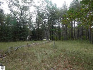 N/A Jose Rd, Omer, MI 48749
