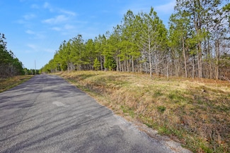 14 Ribbon Branch Rd, Dover, TN 37058