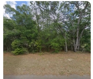 609 N Brighton Rd, Lecanto, FL 34461