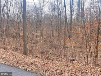 163 Blair Mountain Rd, Dillsburg, PA 17019