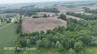 VL State Rd, Millington Township, MI 48746