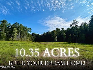 265 Old Eason Rd, Zebulon, NC 27597