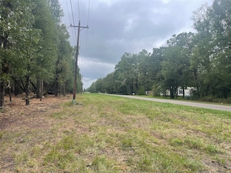 Tract C Mangum Rd, West Livingston, TX 77351