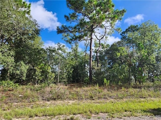 6731 N Darlington Dr, Pine Ridge, FL 34434