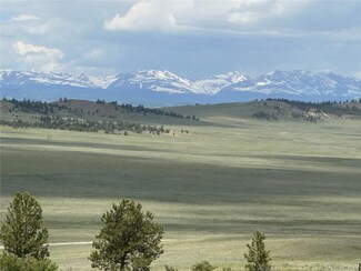 0003 Cohonina Rd, Hartsel, CO 80449