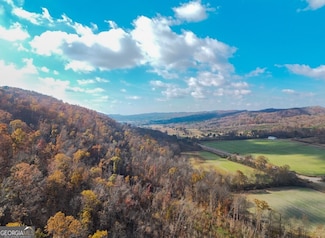 0 Route 11, Attalla, AL 35954