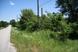 0 E Main St, Lead Hill, AR 72644