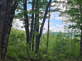 324 Crane Hill Rd, Sugar Hill, NH 03586