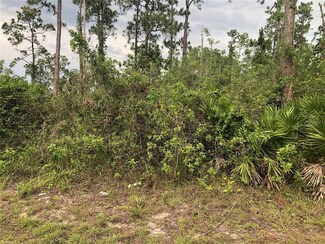 3402 9th St SW, Lehigh Acres, FL 33976