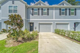 4744 Spatter Dock St, Tampa, FL 33610
