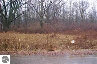 N/A Main St, Au Gres, MI 48703