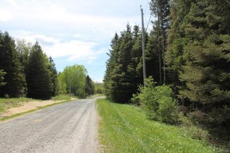 00 Cogar Dr, Schuyler, NY 13340