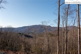 21 Mitchell Watch Dr, Spruce Pine, NC 28657