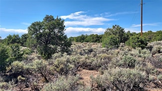 0 Stevenson Unit REC1768572, San Luis, CO 81152