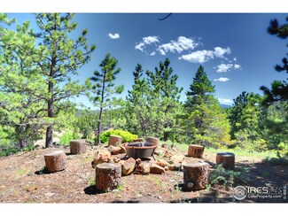 75 Tahosa Park North Rd, Allenspark, CO 80510