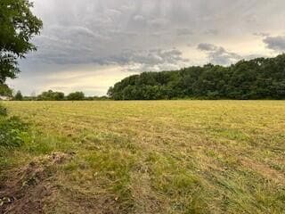 Tract 1 Lawrence 1210, Aurora, MO 65605