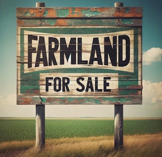 SWC 104th Avenue W Laraway Rd, Frankfort, IL 60423