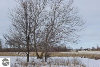 TBD S Lewis Rd, Saint Louis, MI 48880
