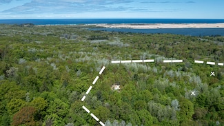 Parcel F-1 28th Ave, Mears, MI 49436