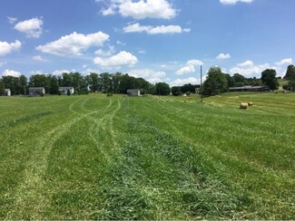 Tbd Painter Rd, Fall Branch, TN 37656